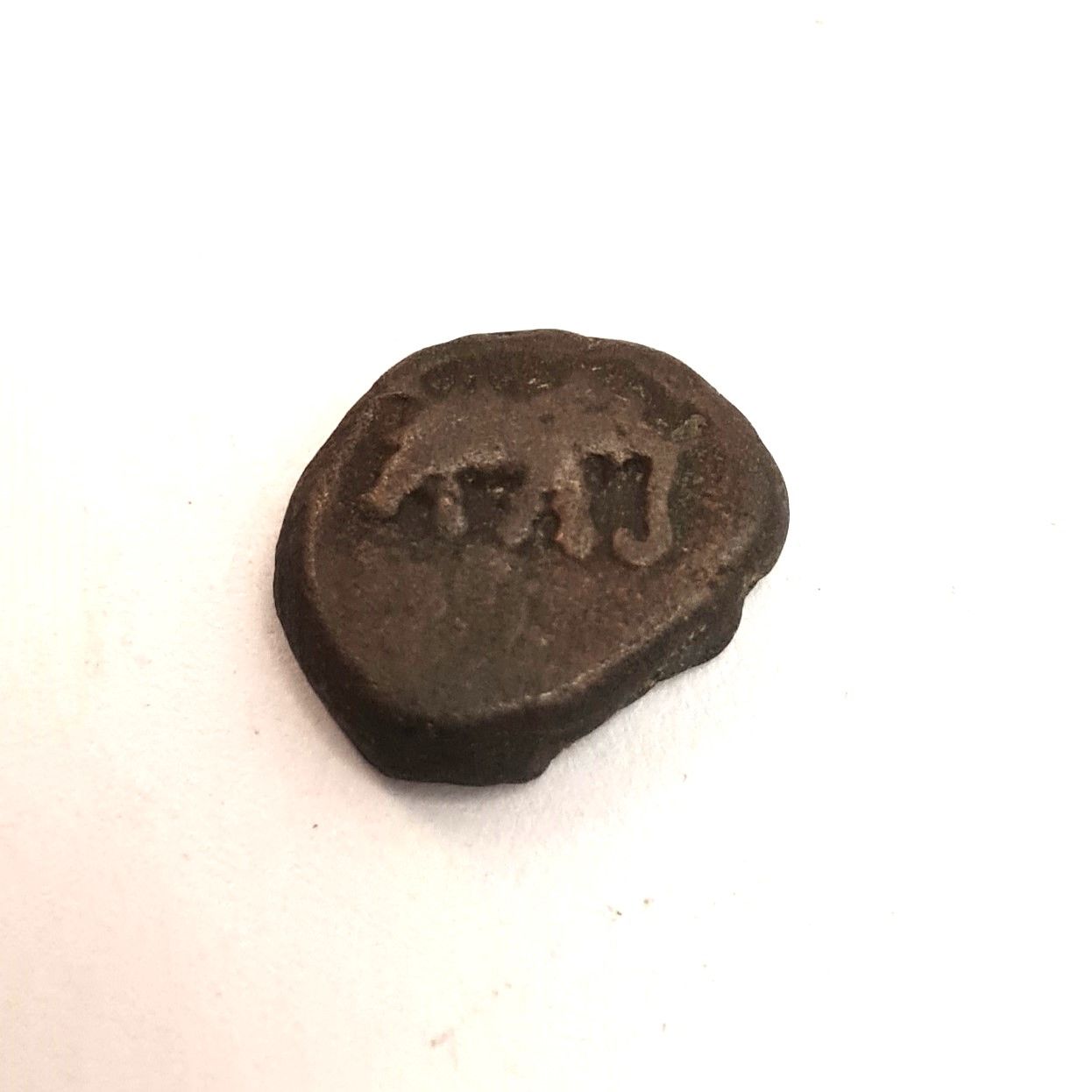 TIPU SULTAN CASU