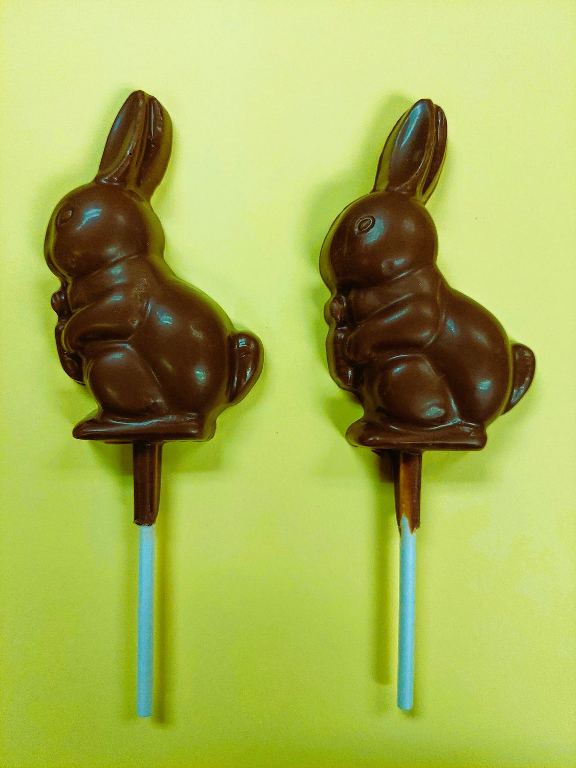 Bunny w/carrot Chocolate Lollipop