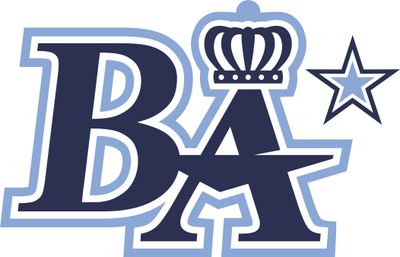 BLUE ARMY SOFTBALL