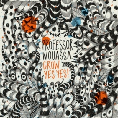 Professor Wouassa