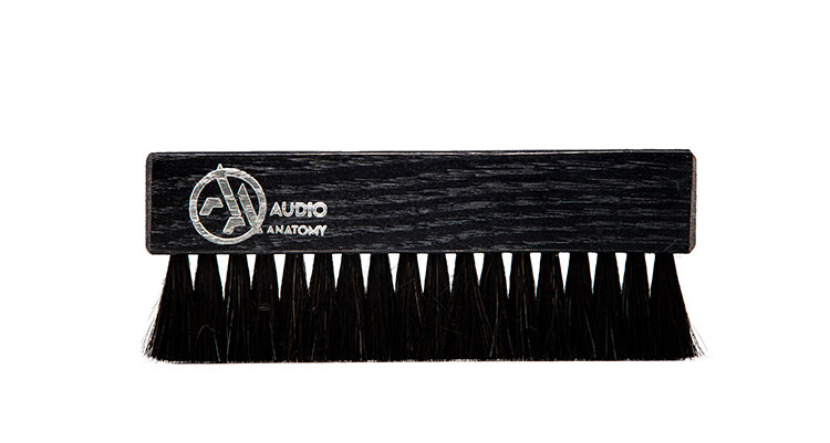 Audio Anatomy