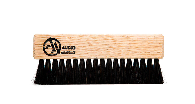 Audio Anatomy