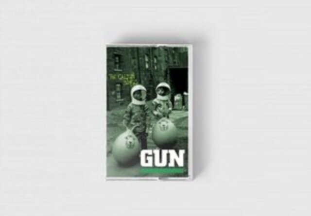 Gun