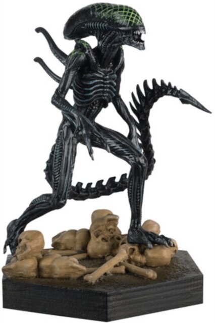Alien & Predator