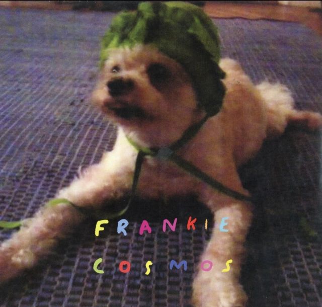 Frankie Cosmos