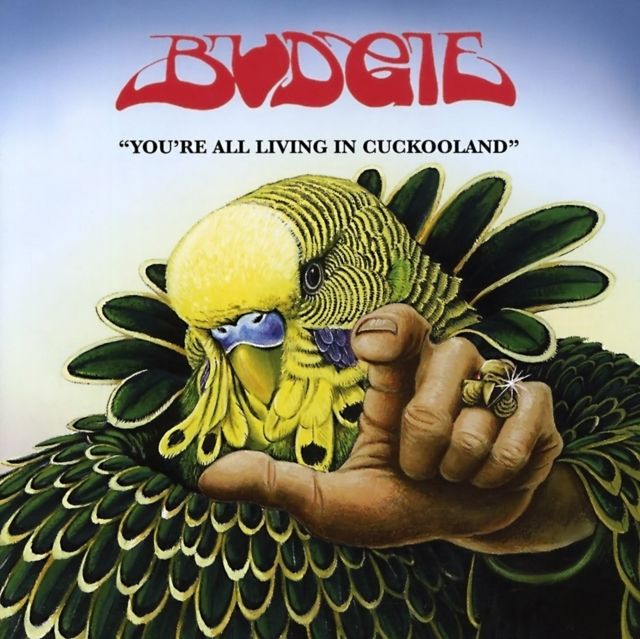 Budgie