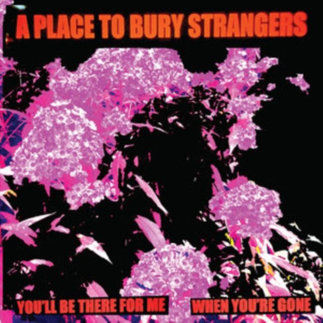 A Place To Bury Strangers