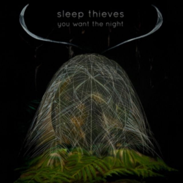 Sleep Thieves