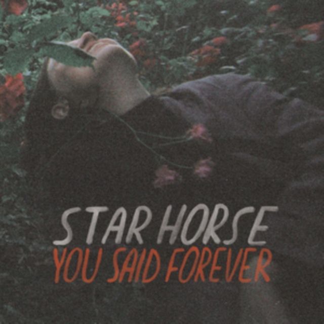 Star Horse