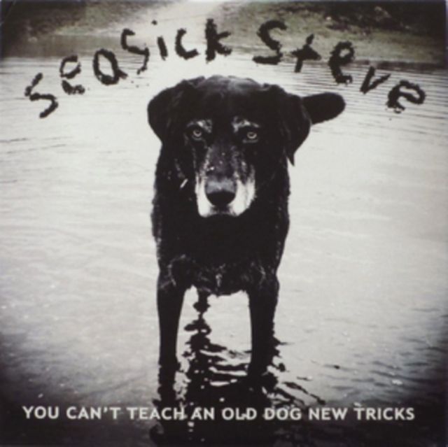 Seasick Steve