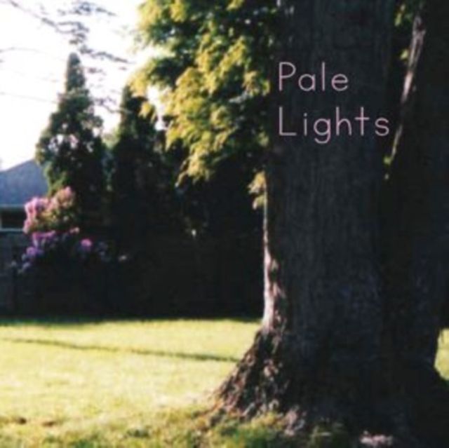 Pale Lights