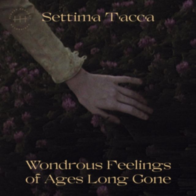 Settima Tacca