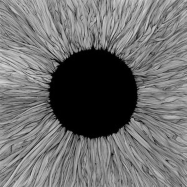 Vola