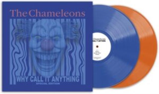 Chameleons