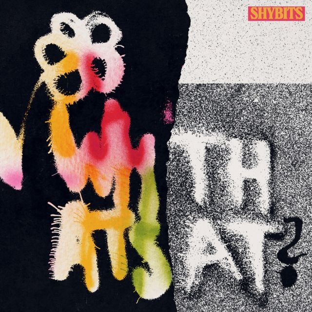 Shybits