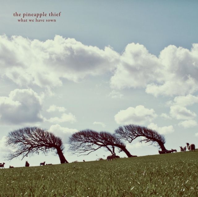 Pineapple Thief