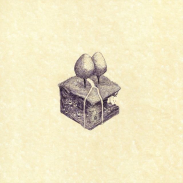 Kiran Leonard