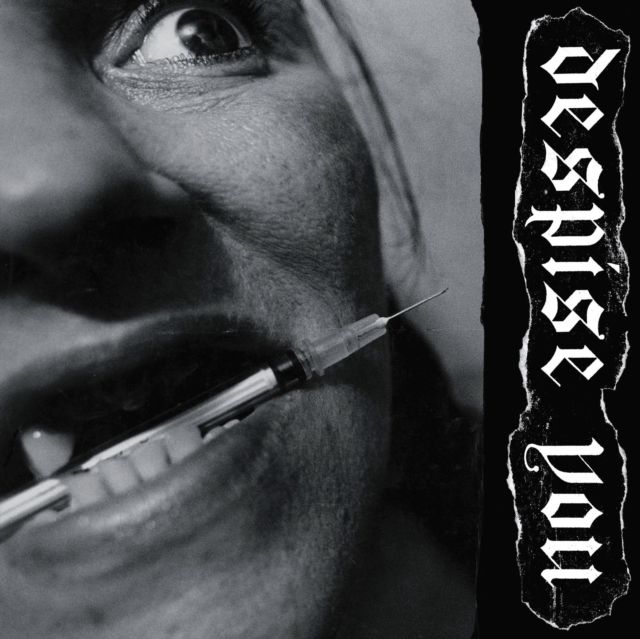 Despise You