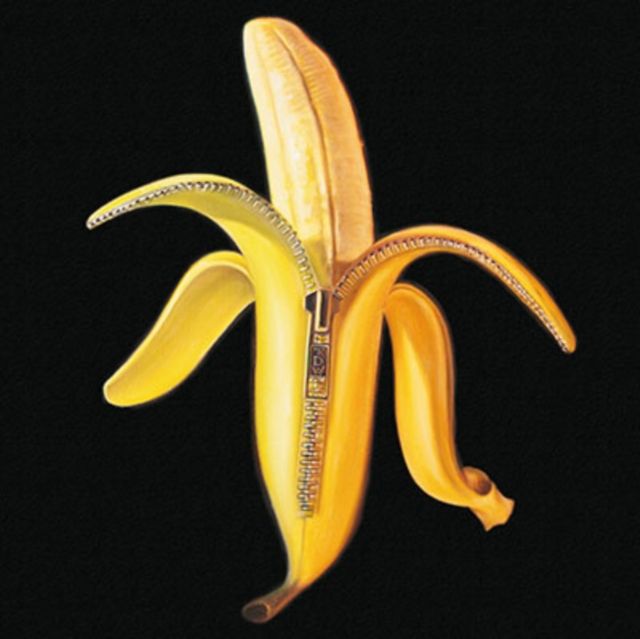 Dandy Warhols