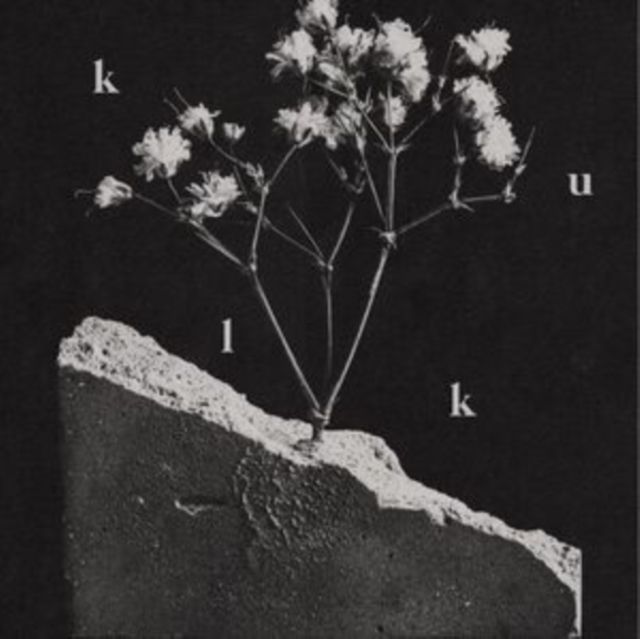 Kulk