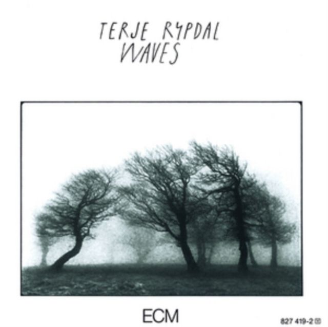 Terje Rypdal