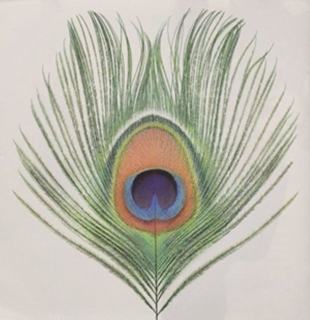Xtc