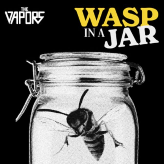 Vapors