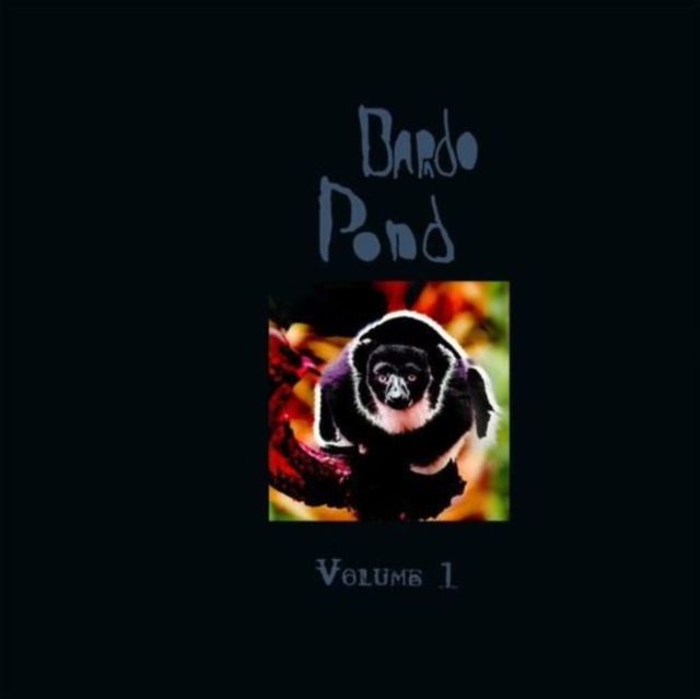 Bardo Pond
