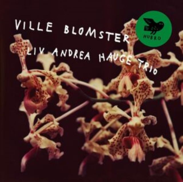 Liv Andrea Hauge Trio