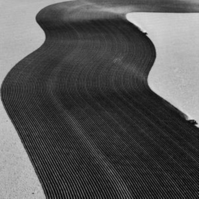 Rainer Veil