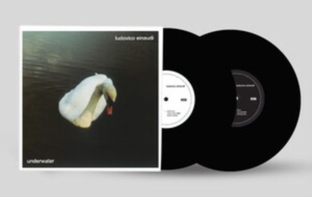 Ludovico Einaudi