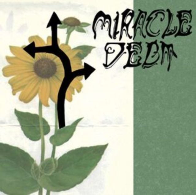 Miracle Debt