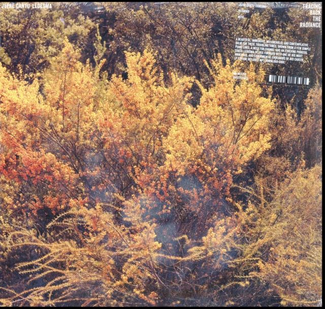 Jefre Cantu-Ledesma