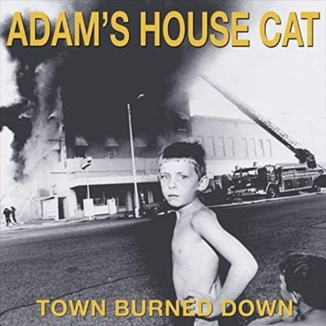 Adams House Cat