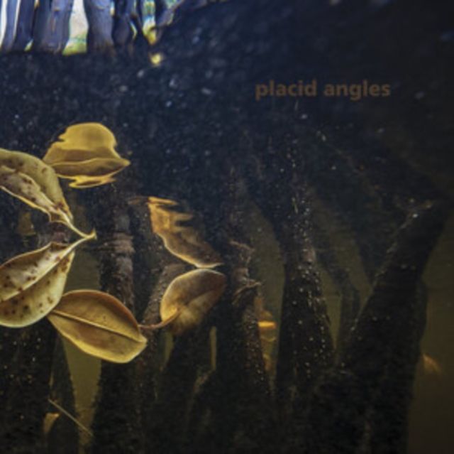 Placid Angles