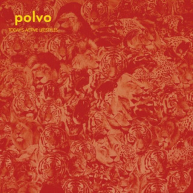 Polvo