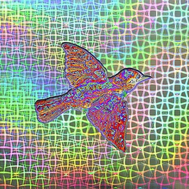 Widespread Panic