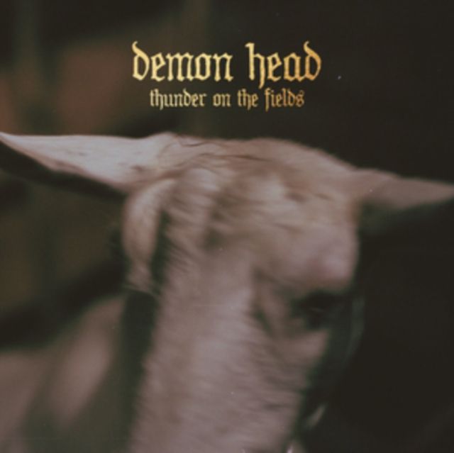 Demon Head