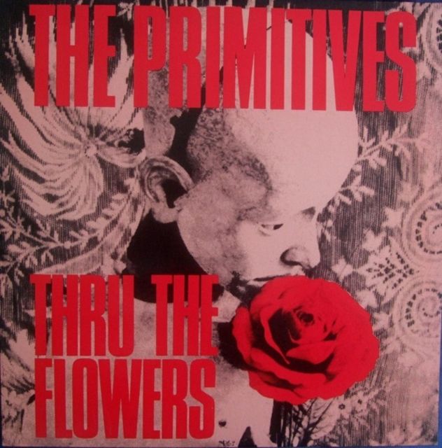 Primitives