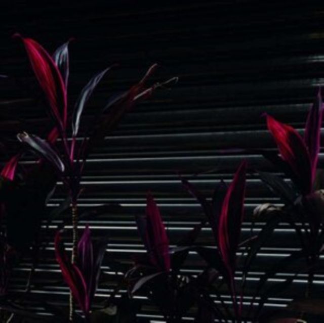 Fine Place