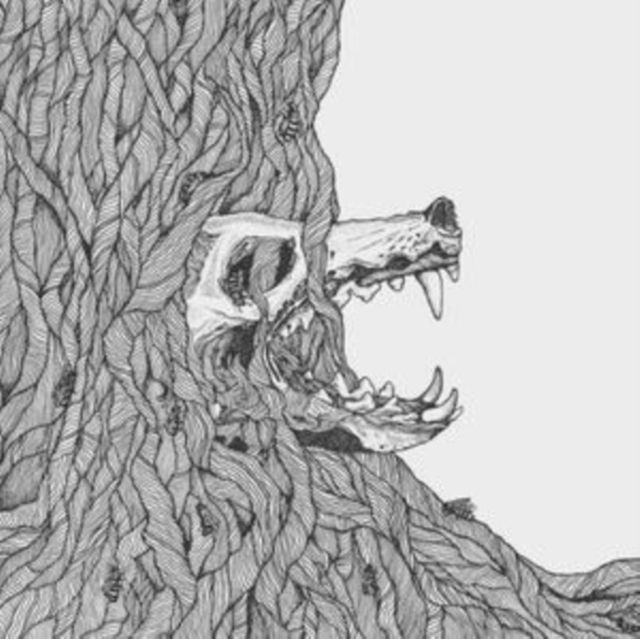Harm Wulf