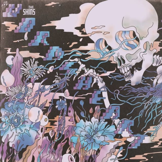 Shins