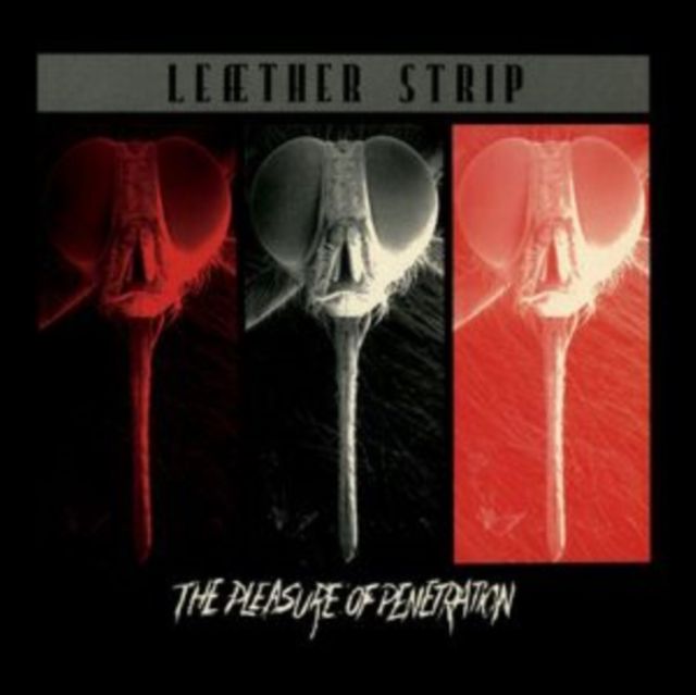 Leaether Strip