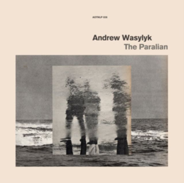 Andrew Wasylyk