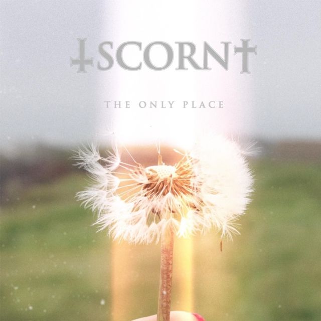 Scorn