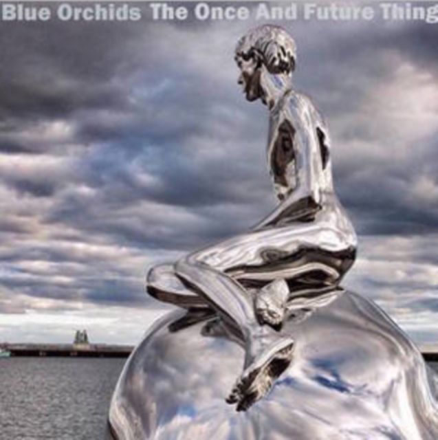 Blue Orchids
