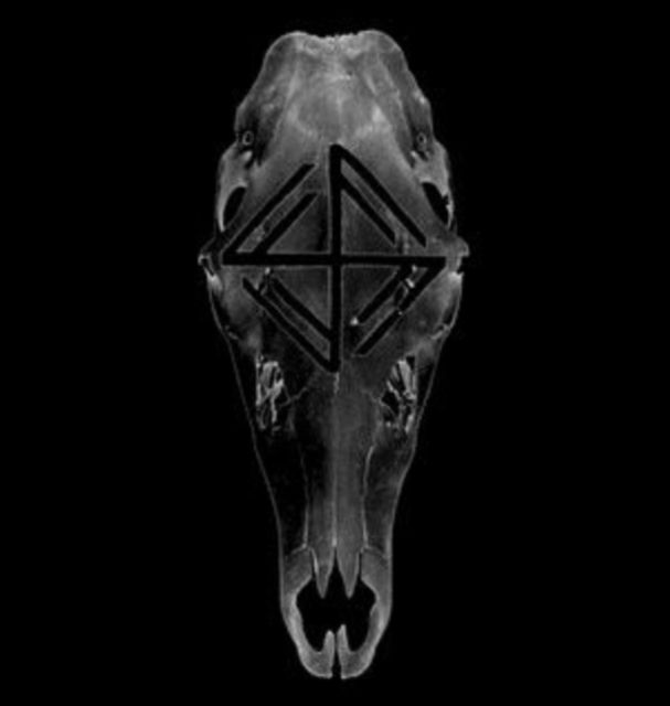 Fauna