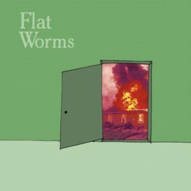 Flat Worms