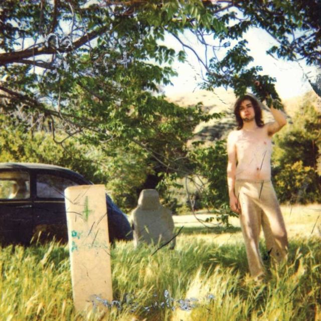 Ariel Pink