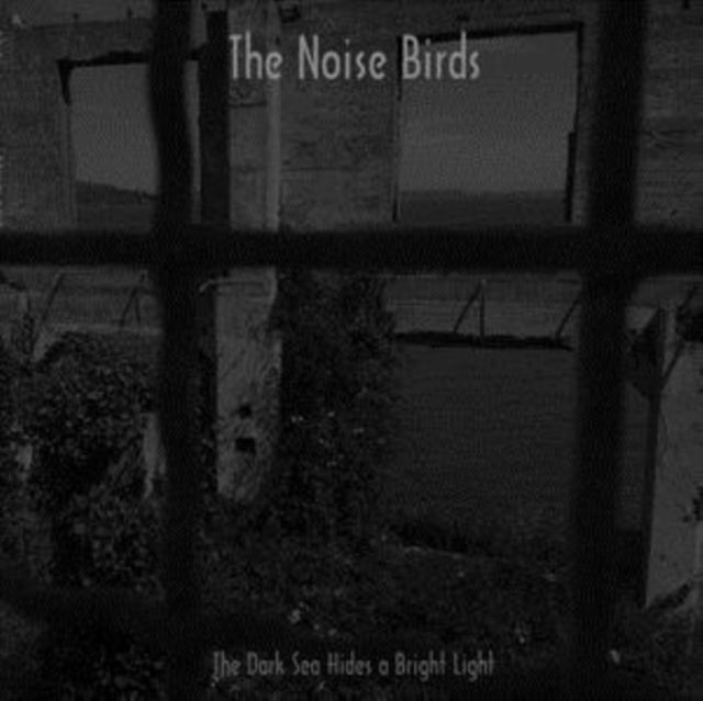 Noise Birds